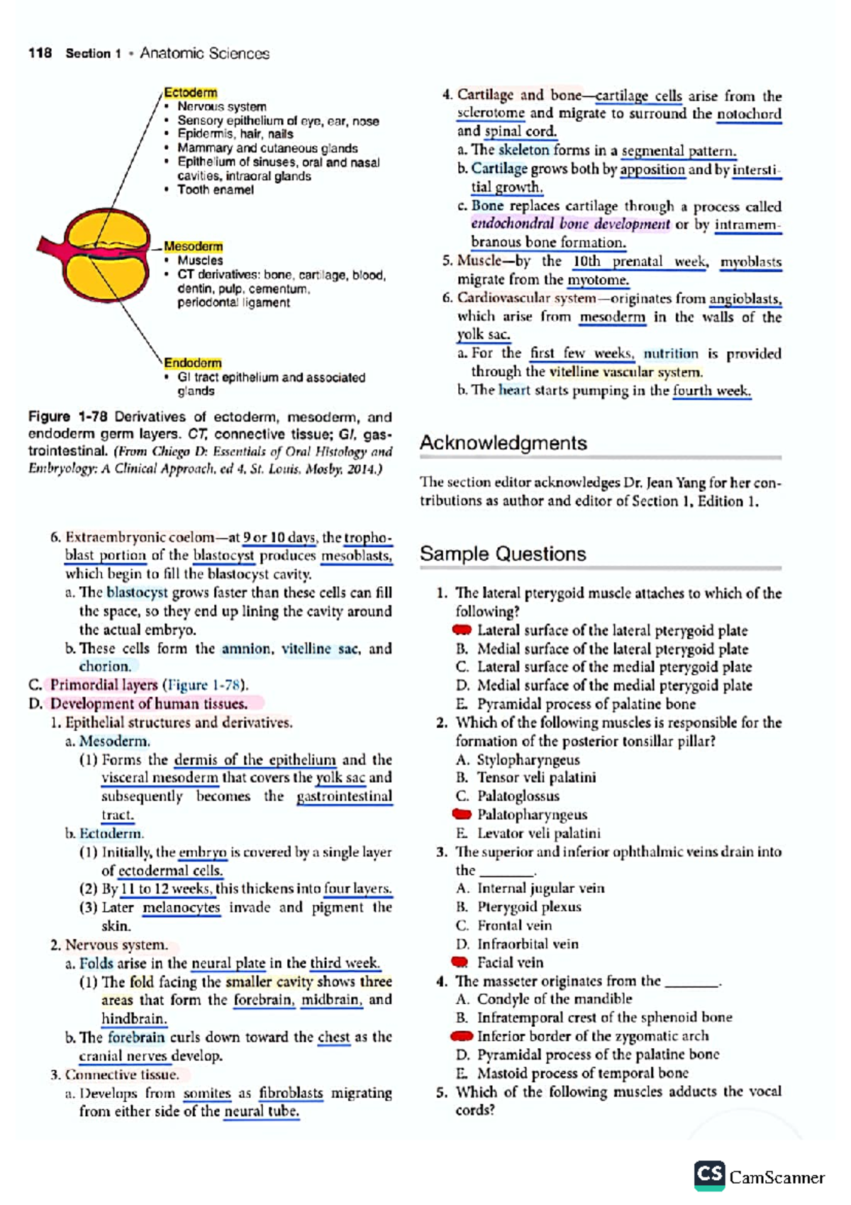 Mosby practice questions Doctor of Medicine Studocu
