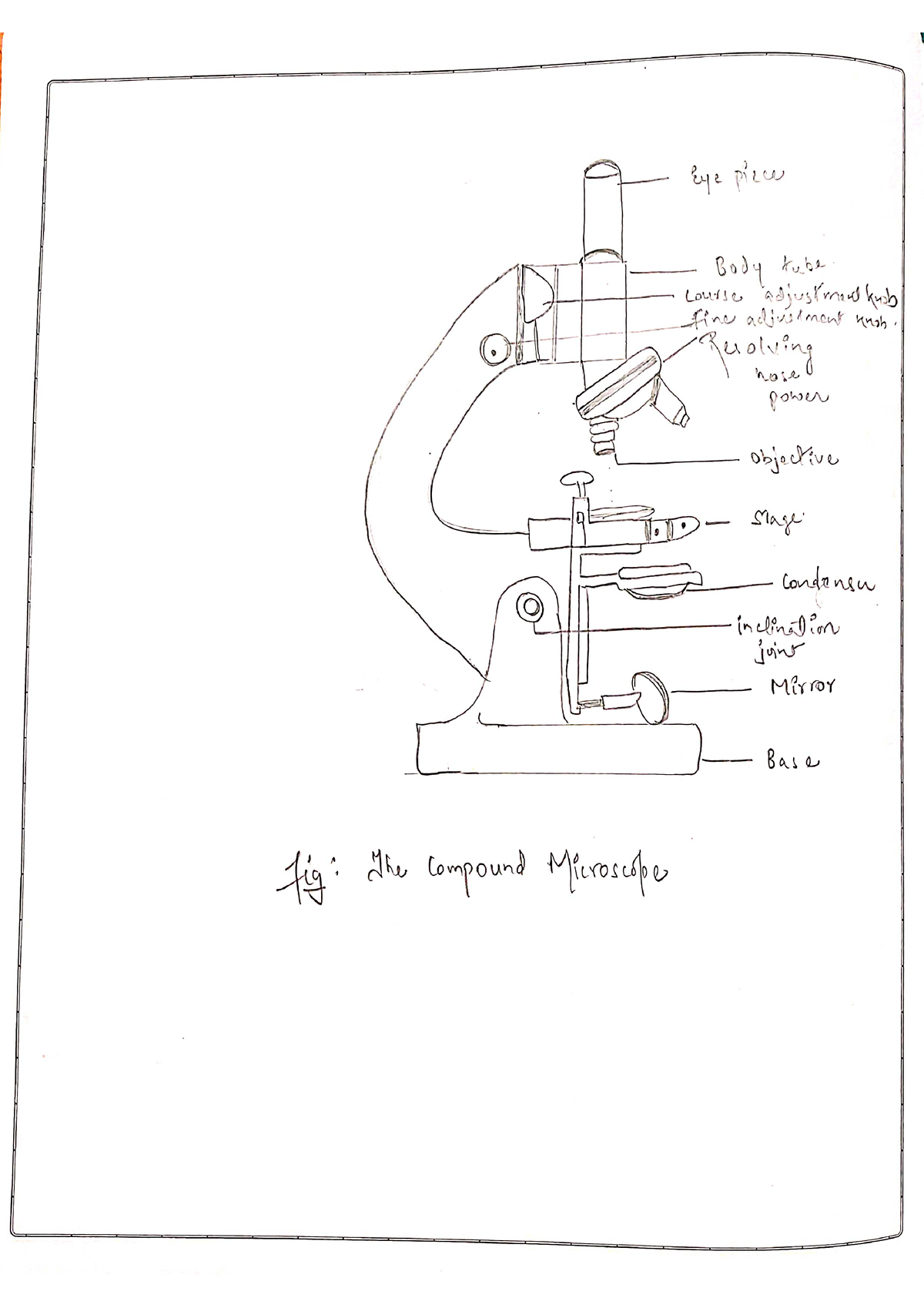 research-method-record-sample-1-bsc-psychology-studocu