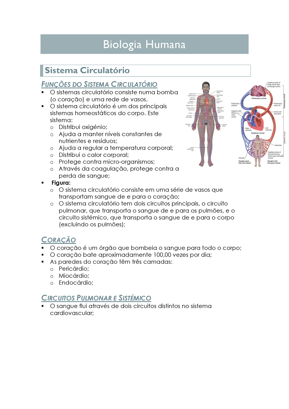 Resumos Biologia Biologia Humana Sistema Circulatório FunÇÕes Do Sistema CirculatÓrio O 6889