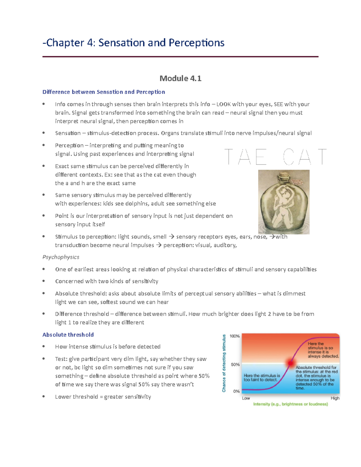 Chapter 4 Sensation And Perception -Chapter 4: Sensation And ...