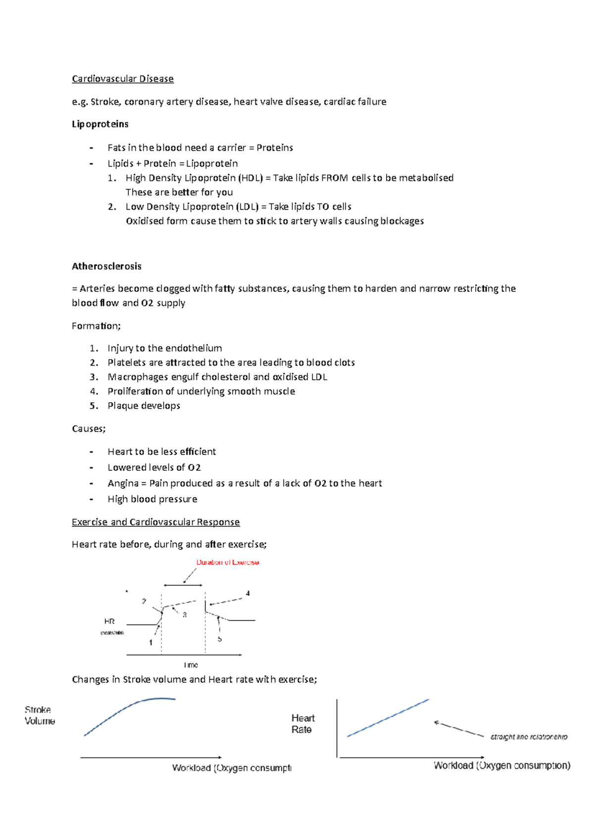Physiology notes - Cardiovascular Disease e. Stroke, coronary artery ...
