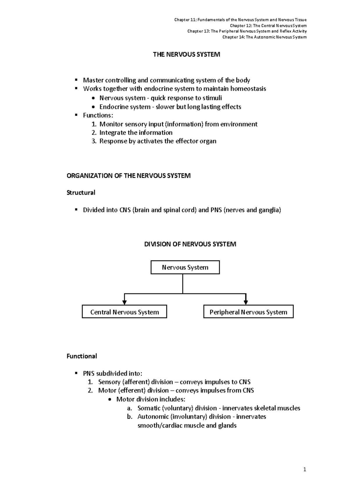Document 2 - review - Chapter 12: The Central Nervous System Chapter 13 ...