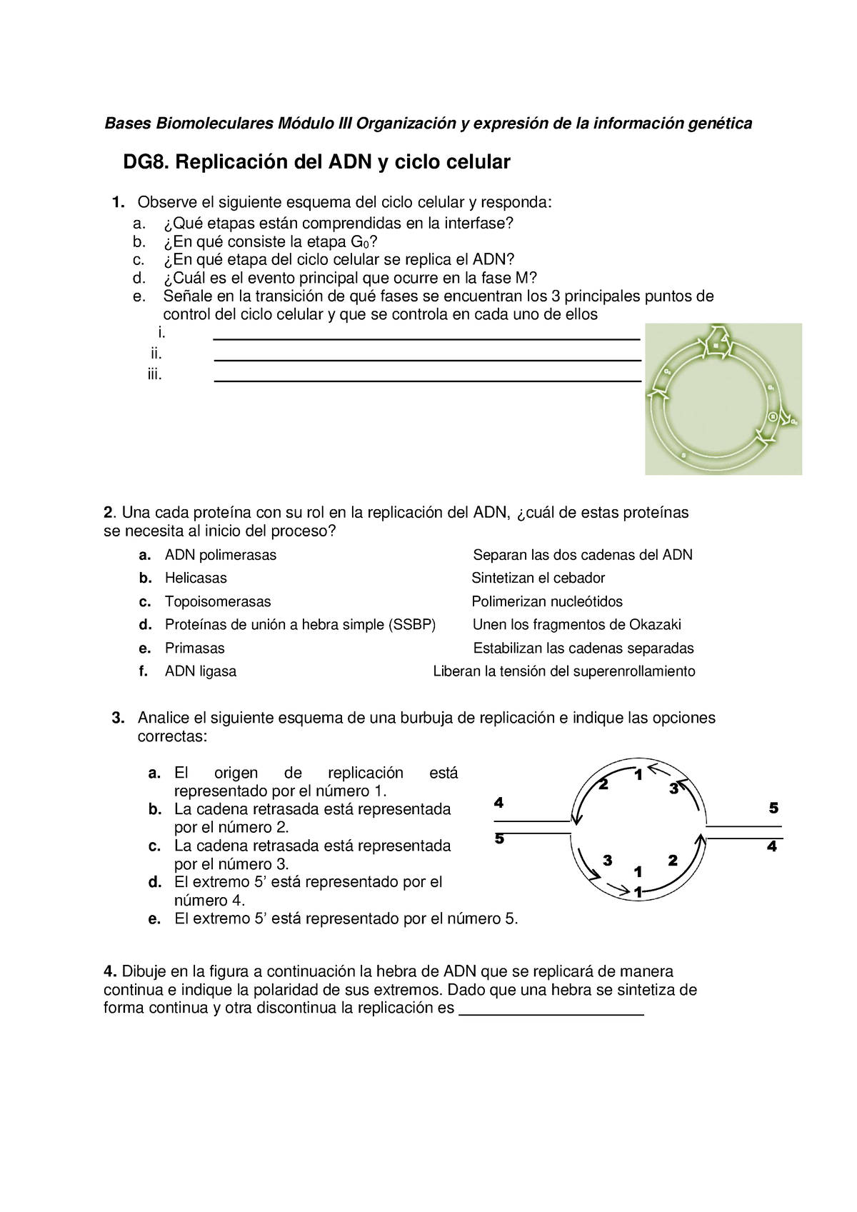 Discusión Grupal 8 - Bases - Bases Biomoleculares Módulo III ...