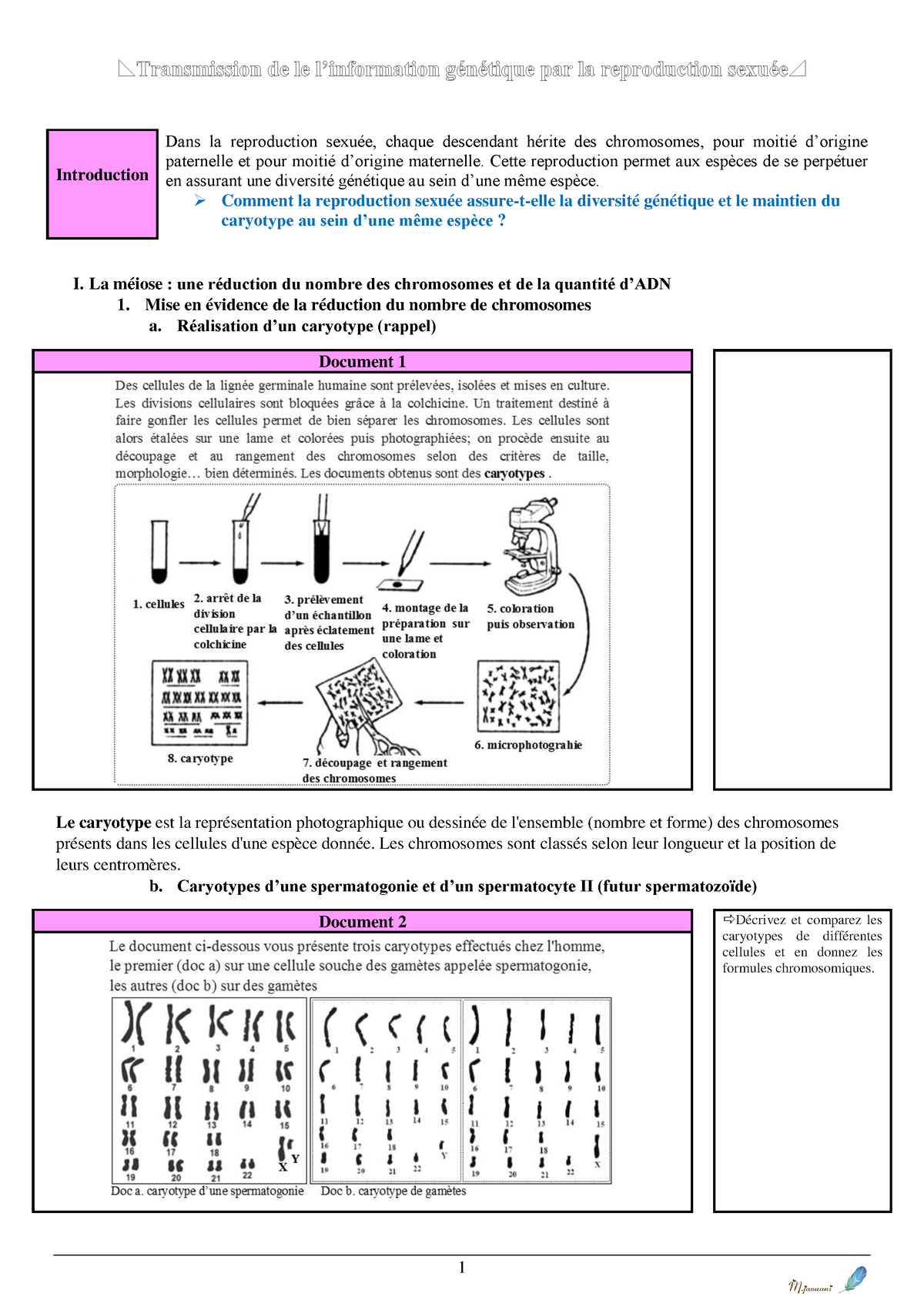 1transmission De L Information Genetique Par La Reproduction Sexuee Cours 1 Introduction Dans 7268