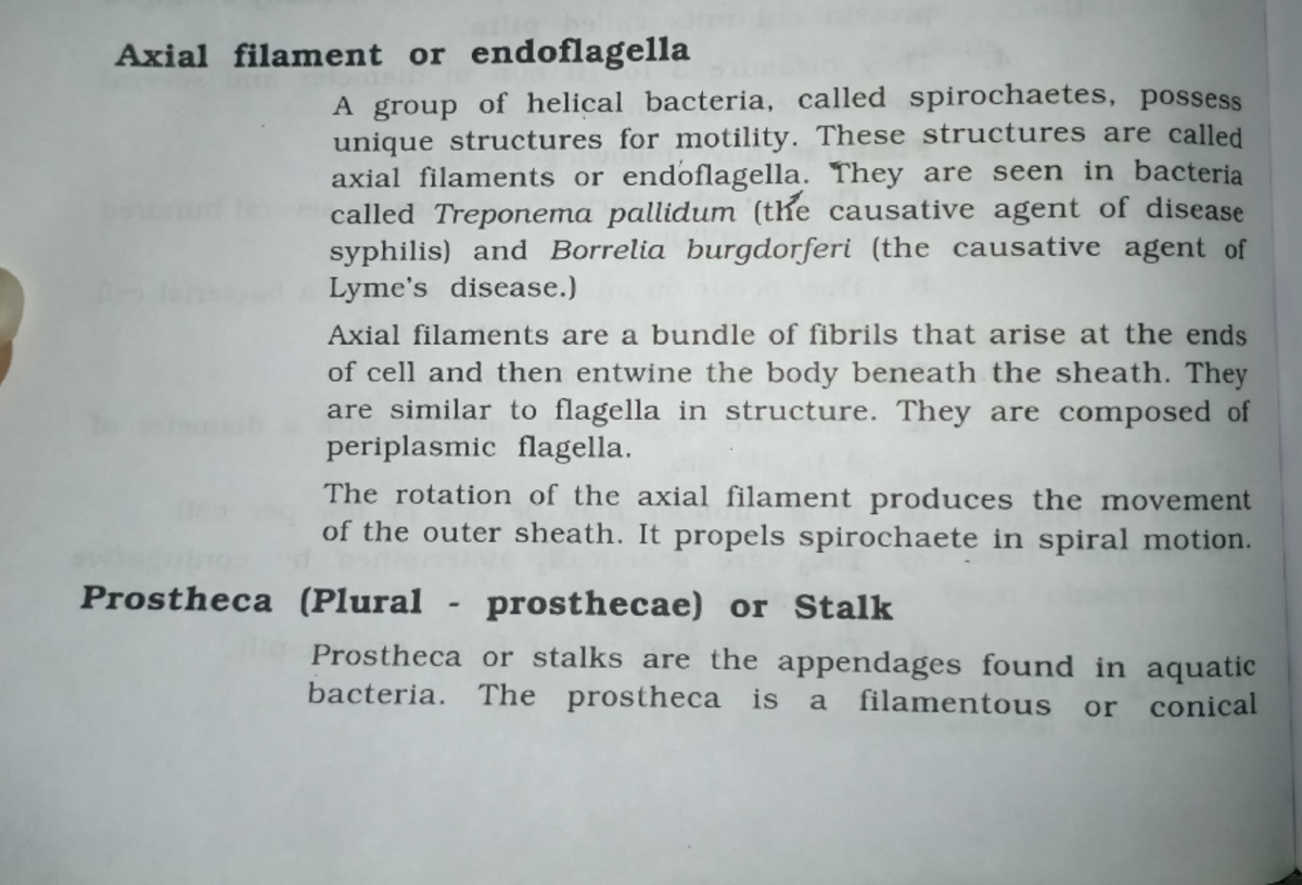 Axial filament - These structures are called axial filaments or