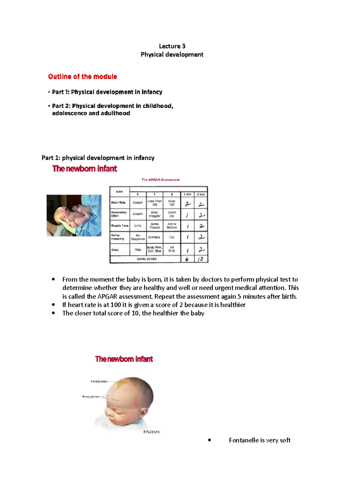 physical development case study