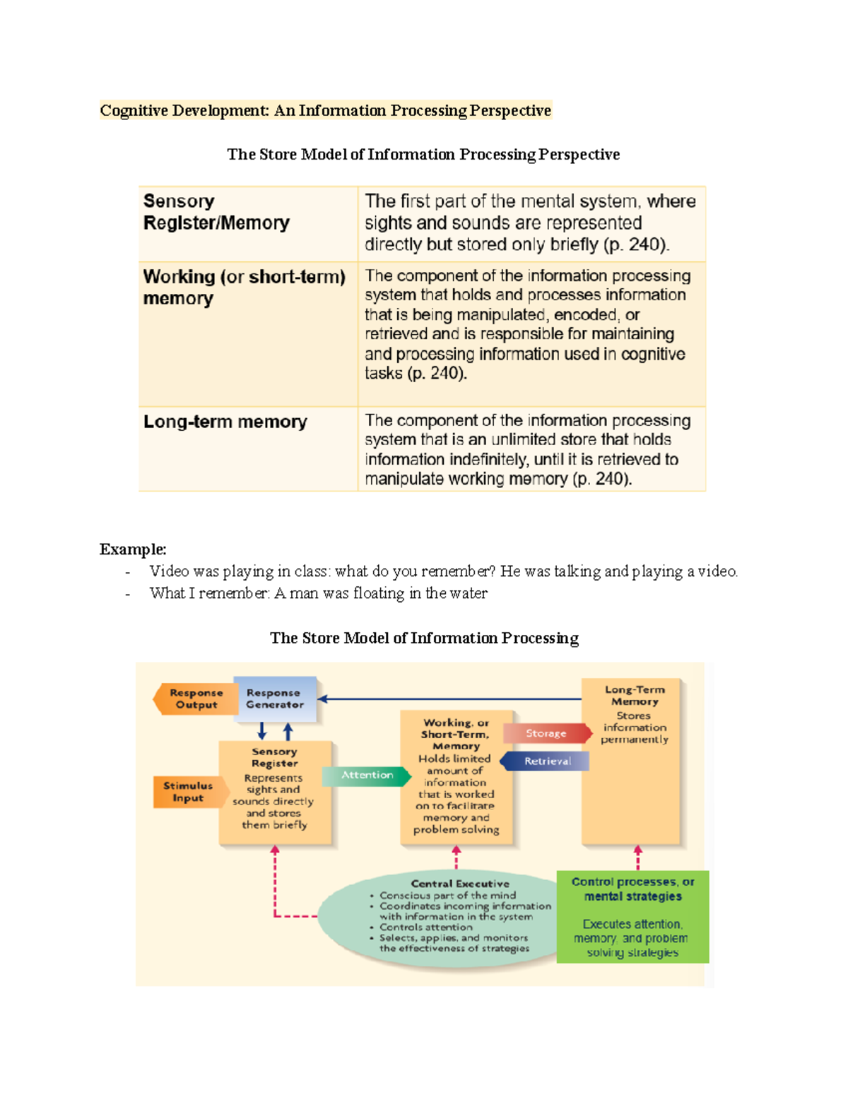 Cognitive Development Information Processing Cognitive