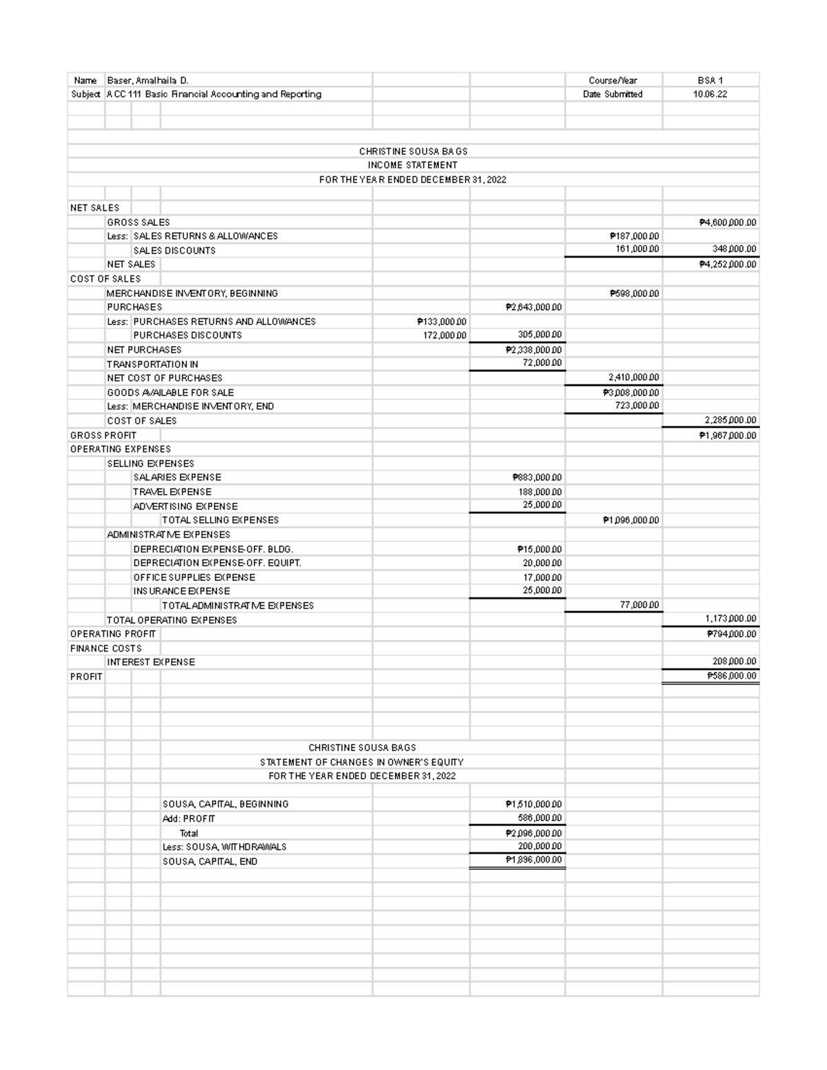 Baser, Amalhaila D. Bsa 1 – Ft Activity 5 Individual Sousa Bags 