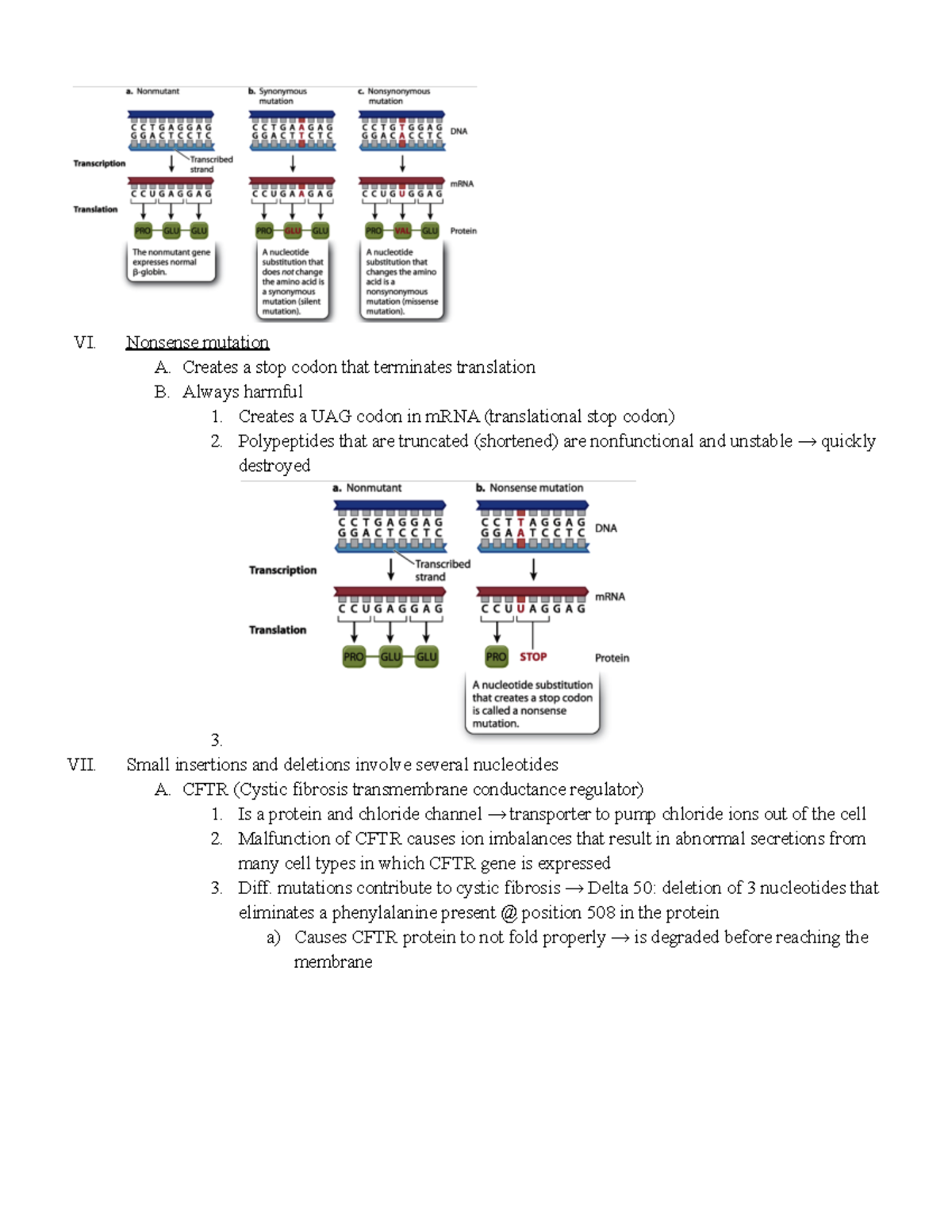 Chromosomal Mutations - 9, 1RQVHQVH PXWDWLRQ $ - Studocu