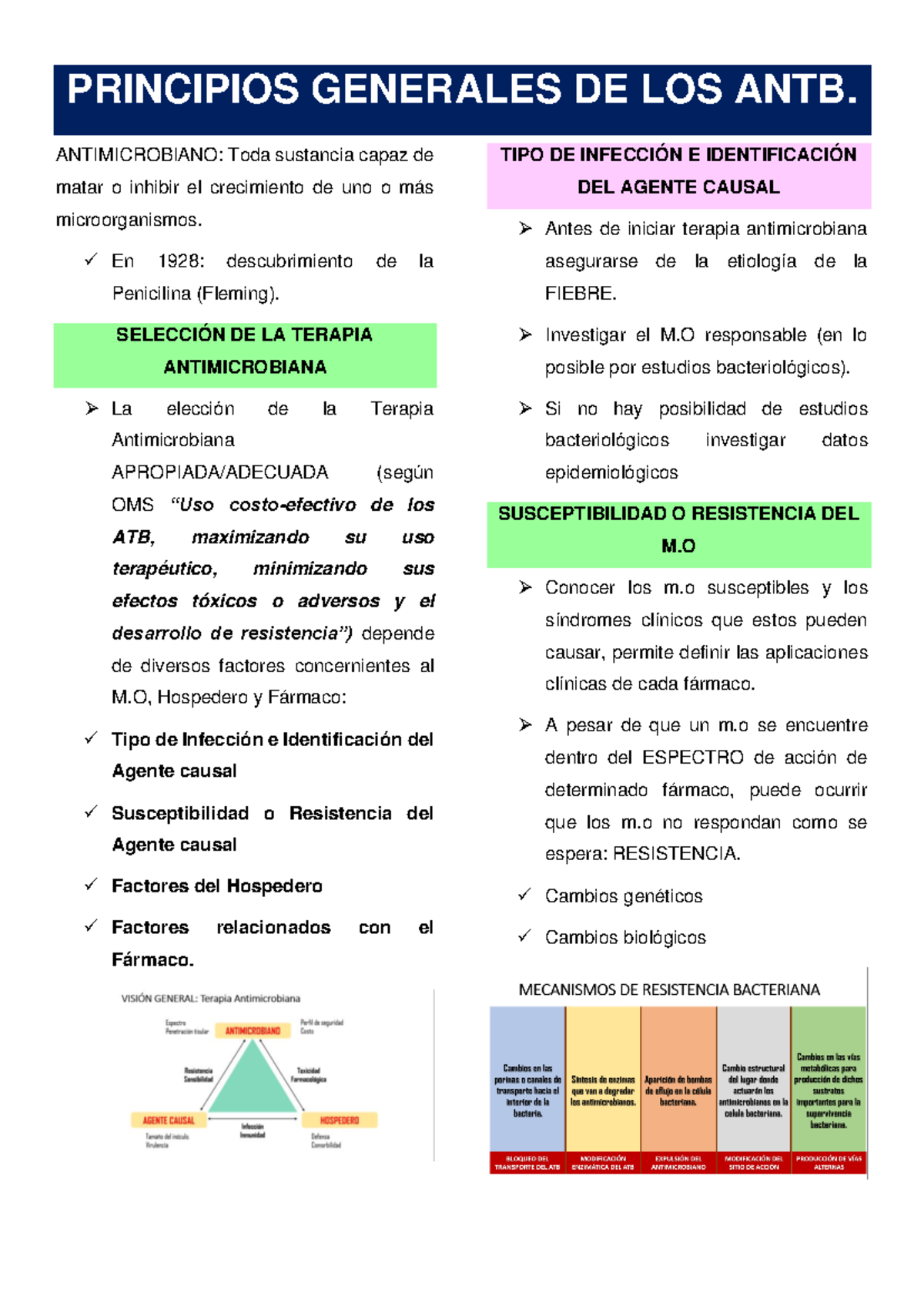 Tema Principios Generales De Los Antb Principios Generales De Los