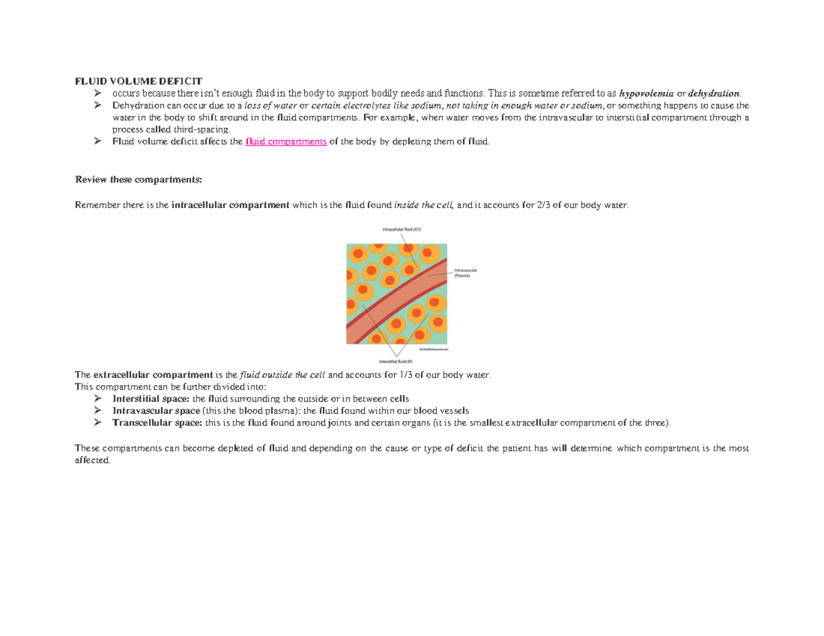 Fluid volume deficit and Excess - FLUID VOLUME DEFICIT occurs because ...