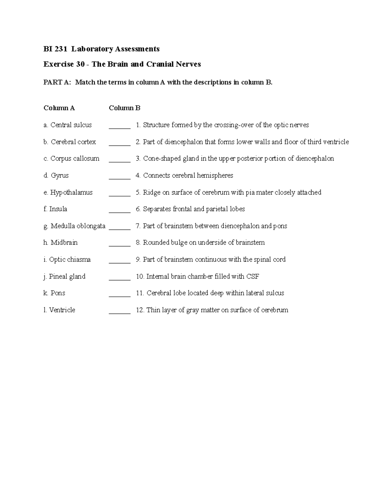 Laboratory 9 Assessments The Brain - BI 231 Laboratory Assessments ...