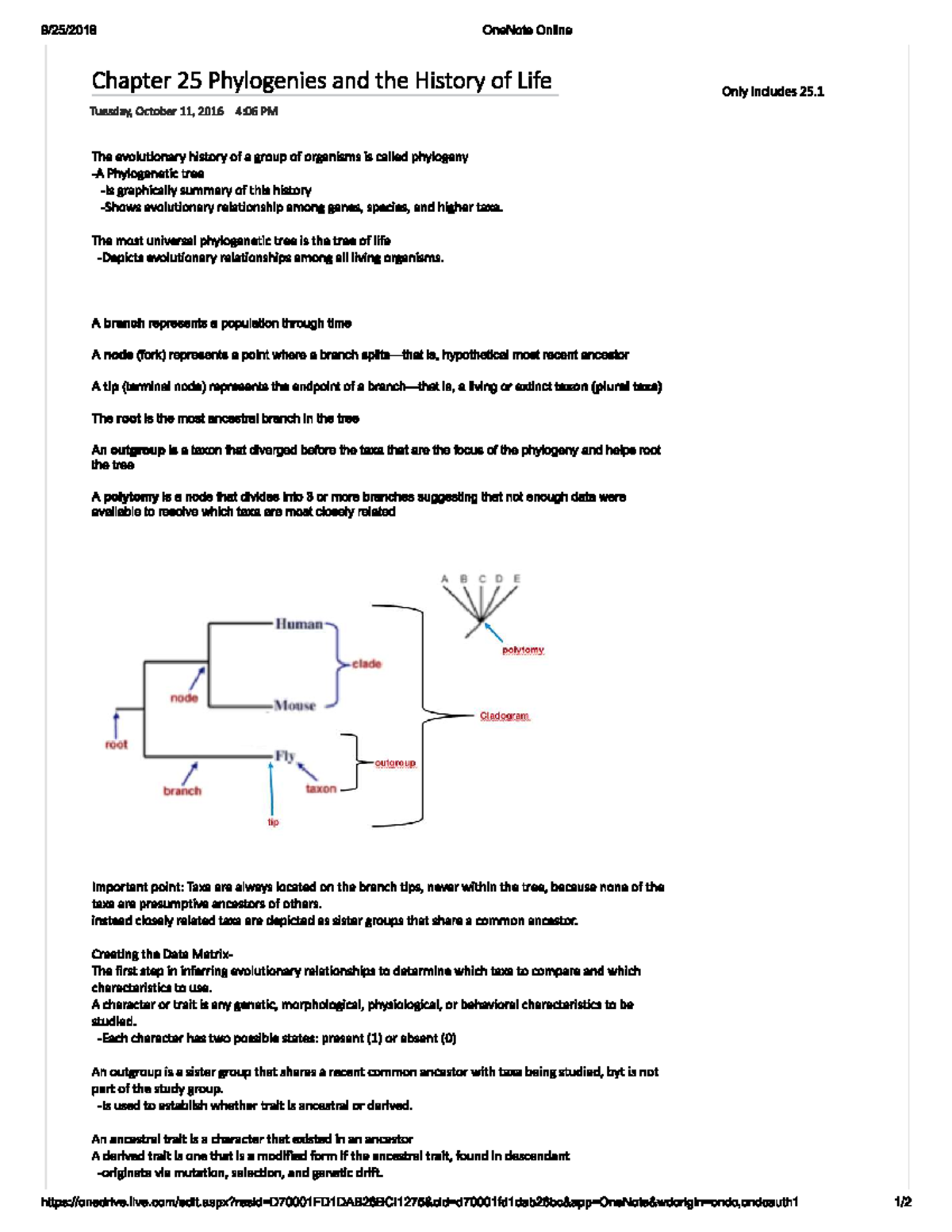 Ch 25 Phylogenies and the History of Life - The most universal ...