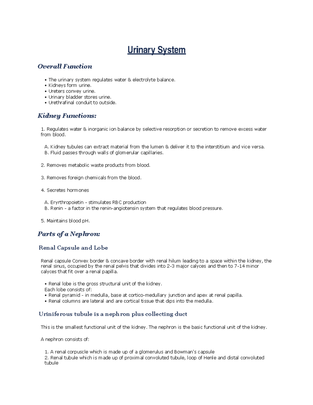 Urinary-System Anatomy and physiology - Urinary System Overall Function ...