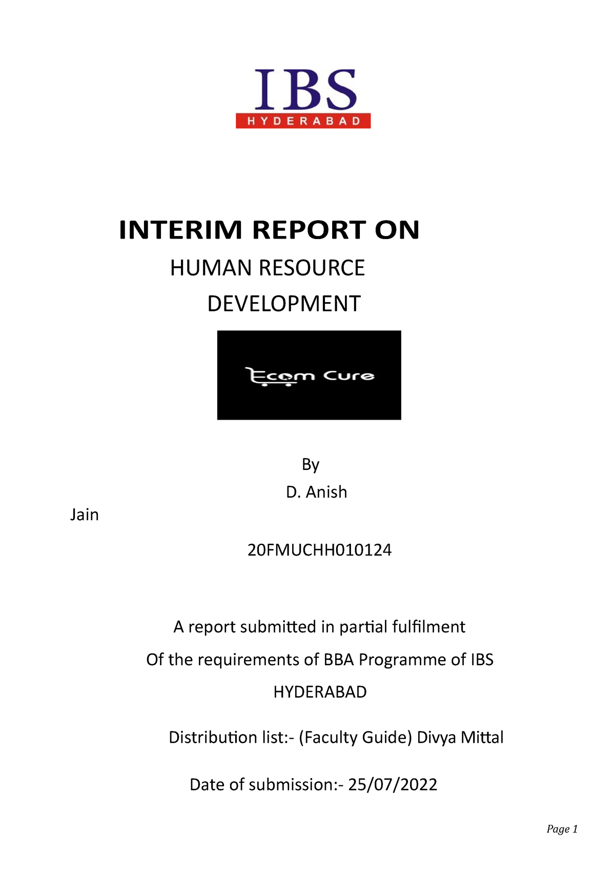 thesis interim report