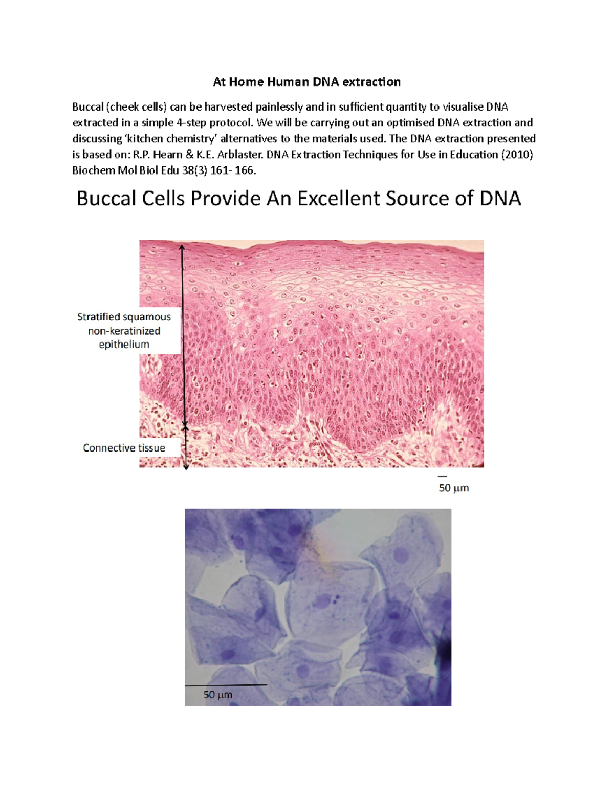 'At Home' DNA Extraction Protocol - At Home Human DNA extraction Buccal ...