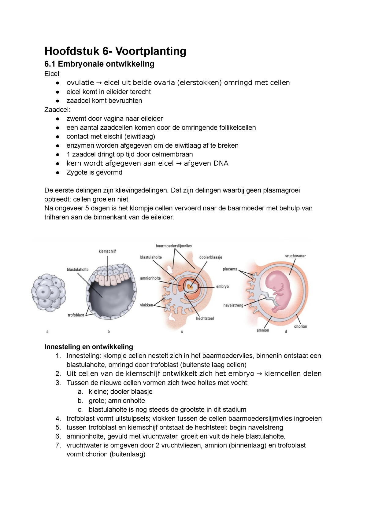 Biologie Hoofdstuk 6 Voortplanting Hoofdstuk 6 Voortplanting 6