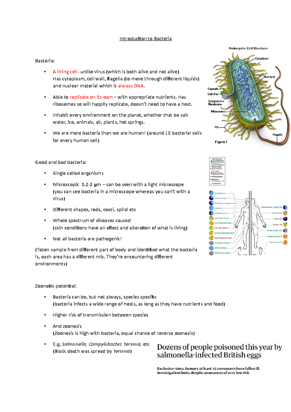 Introduction to bacteria - Introduction to Bacteria Bacteria: A living ...