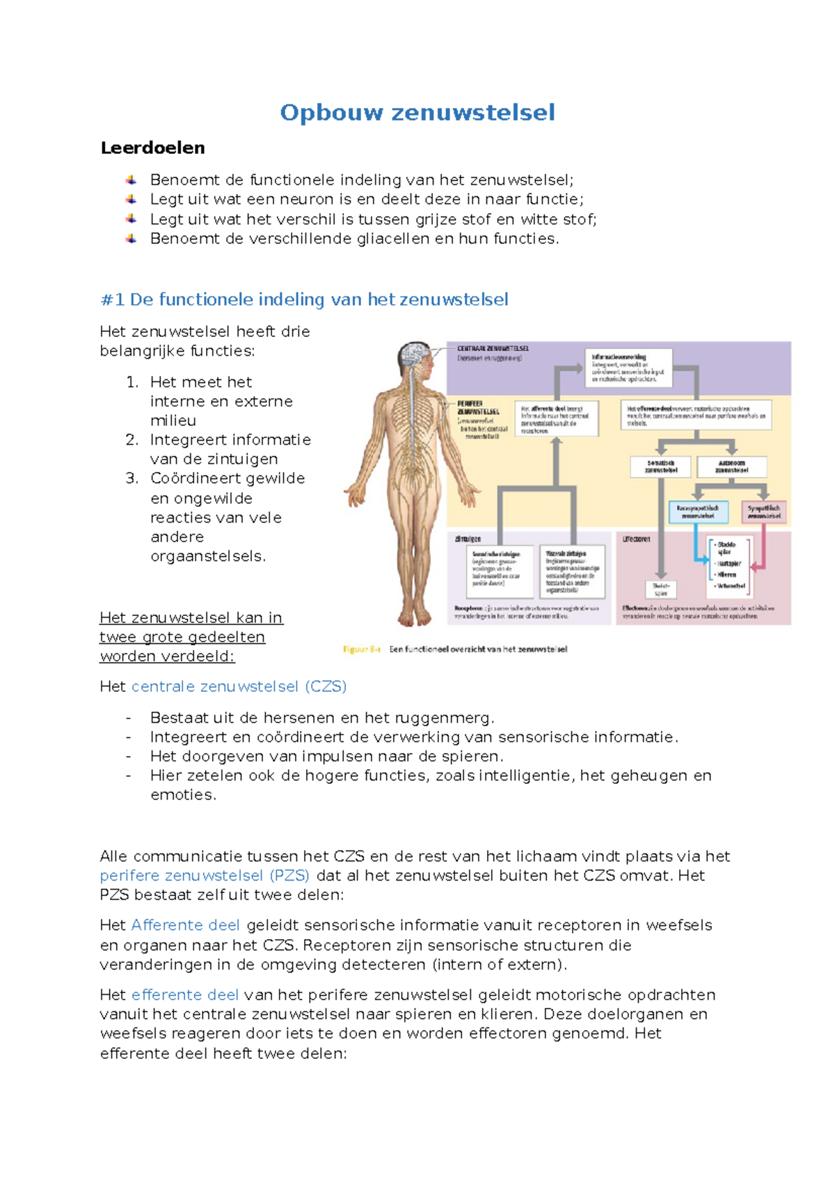 Afp #1 - Dit Document Gaat Over De Opbouw Van Het Zenuwstelsel - Opbouw ...