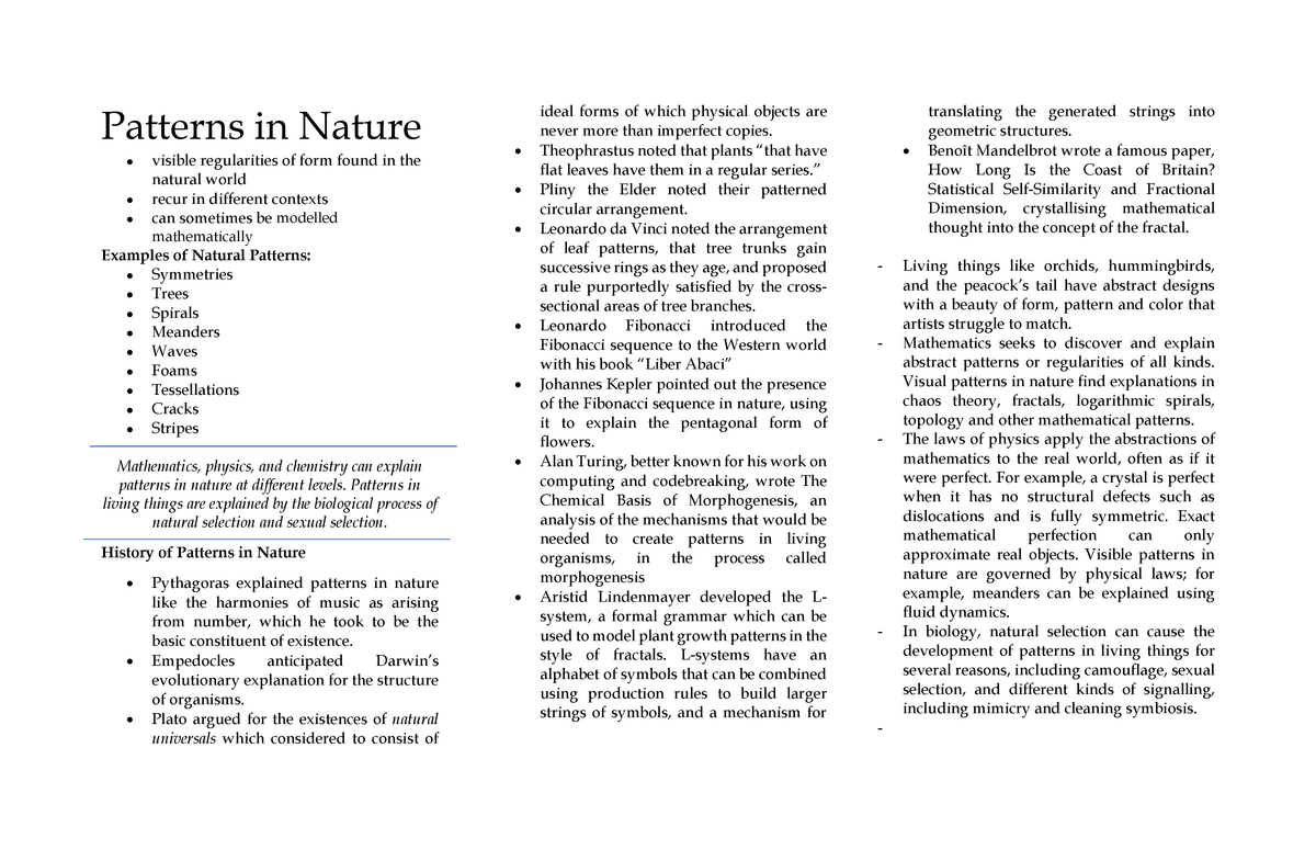 essay about patterns in nature