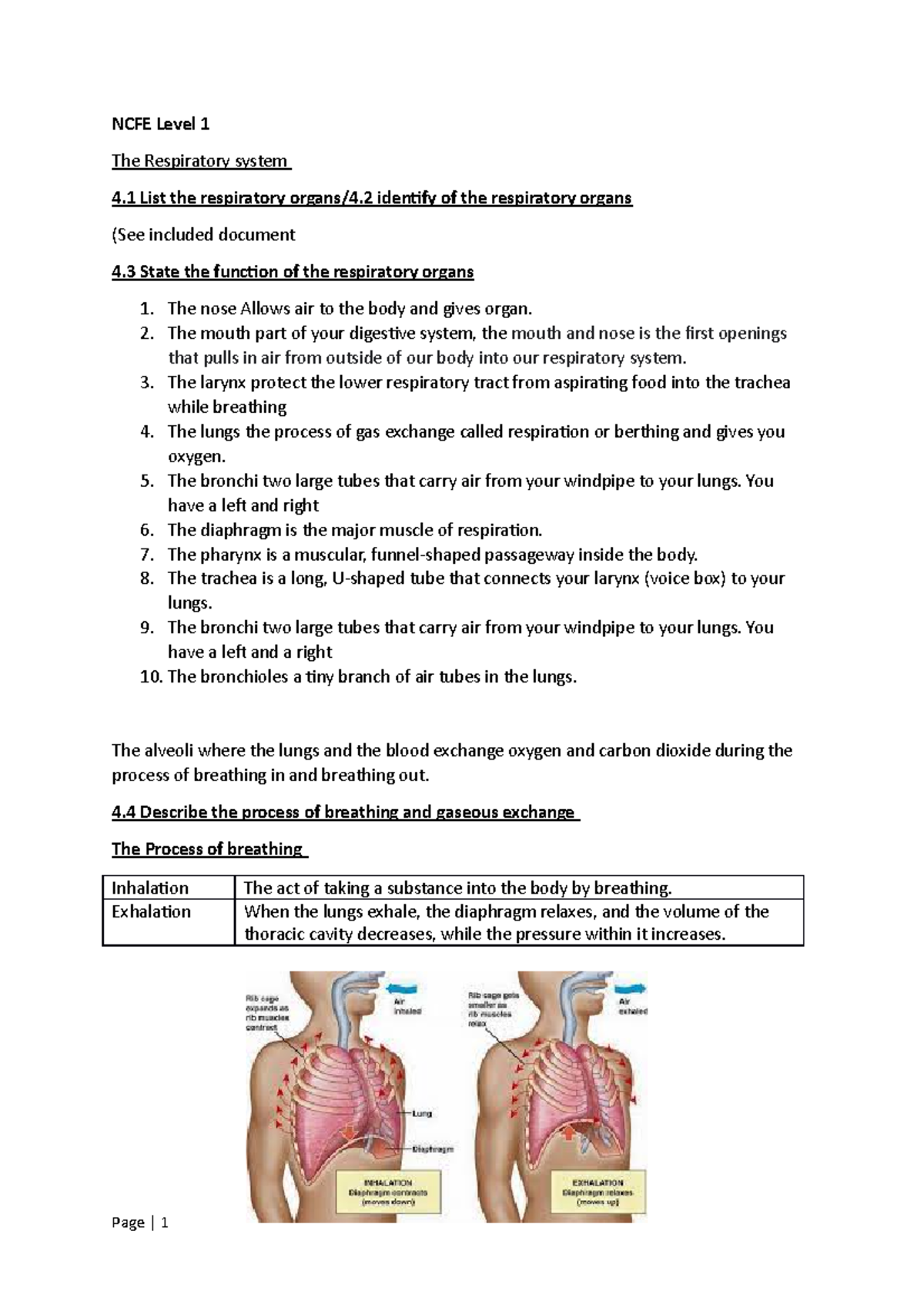 The Respiratory system - The mouth part of your digestive system, the ...