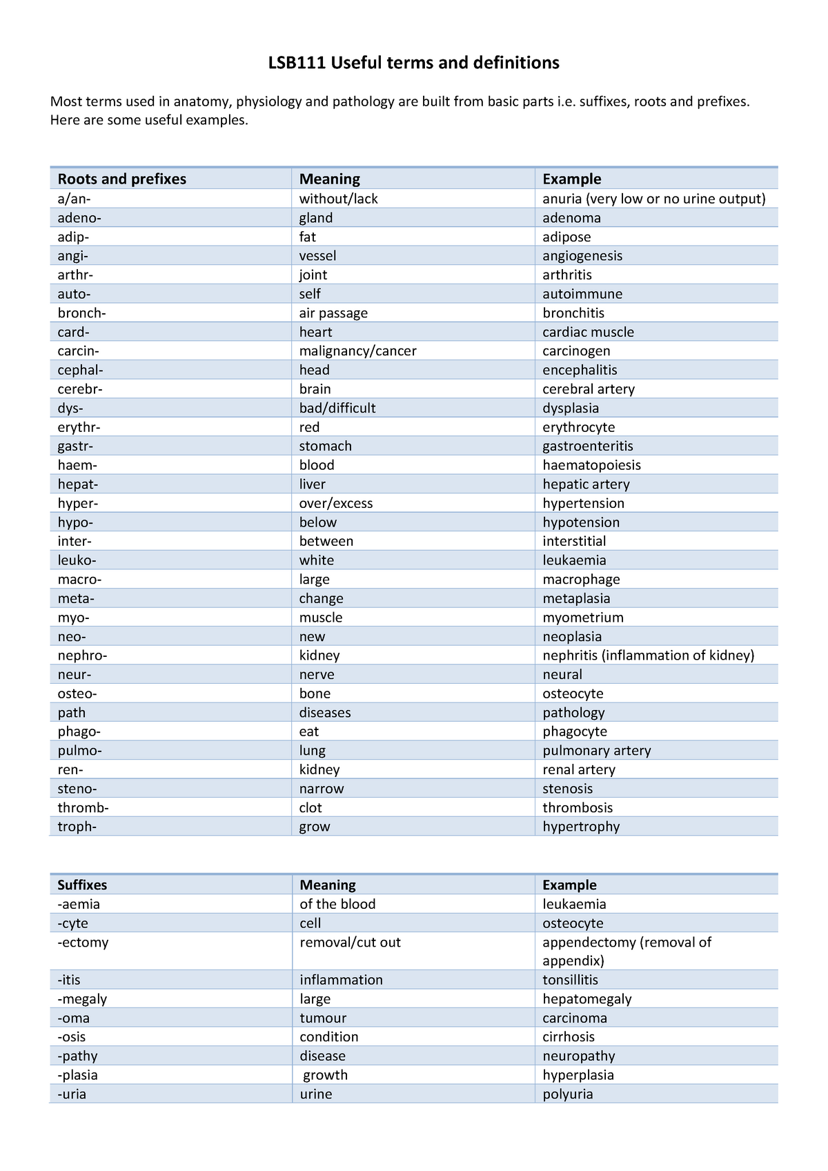 Useful terms and definitions - suffixes, roots and prefixes. Here are ...