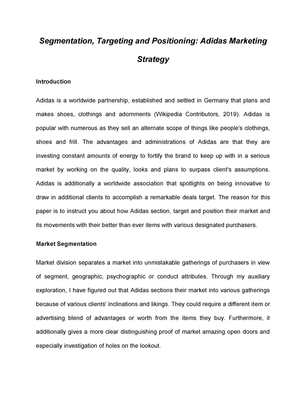 dirección Satisfacer bolita Segmentation, Targeting and Positioning: Adidas Marketing Strategy -  Segmentation, Targeting and - Studocu