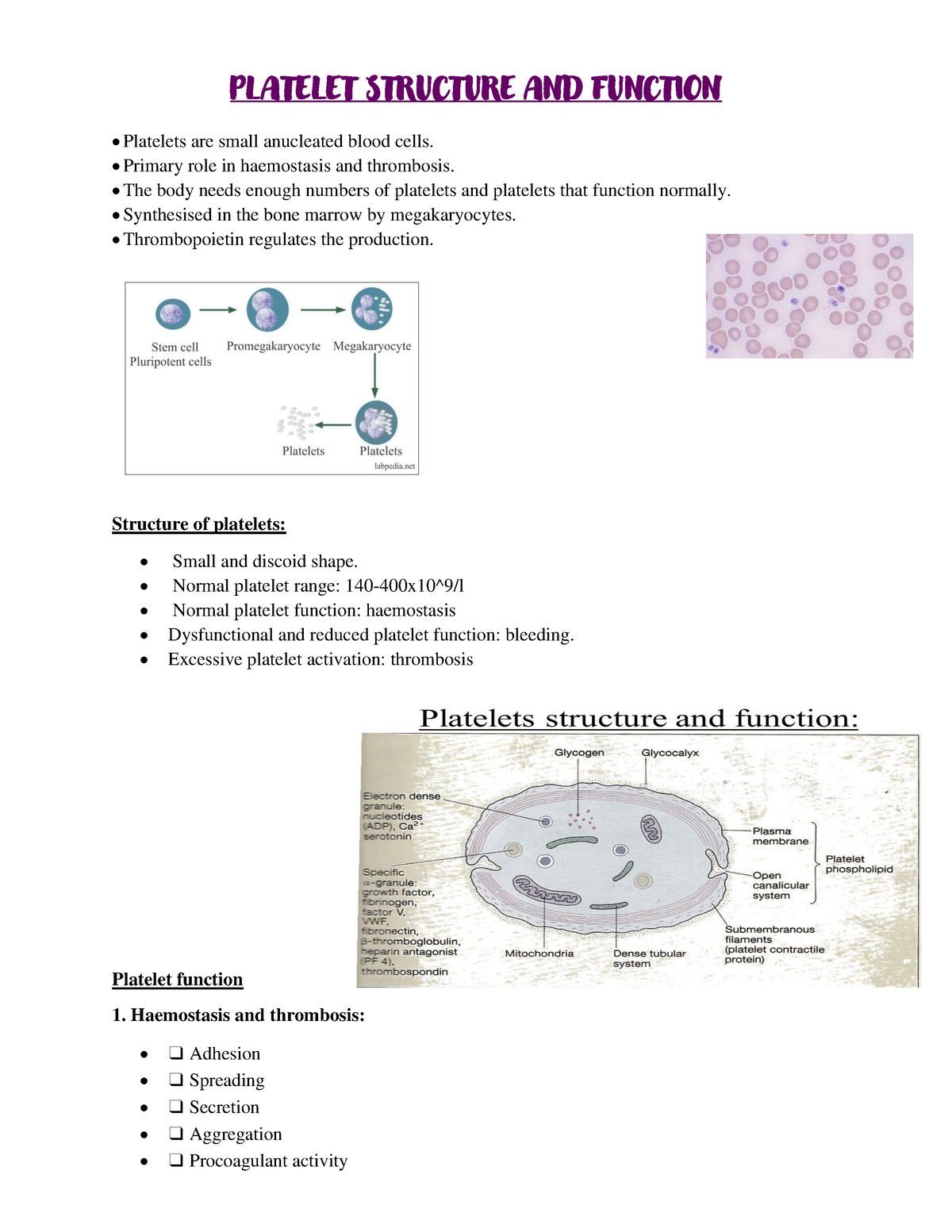 platelet structure