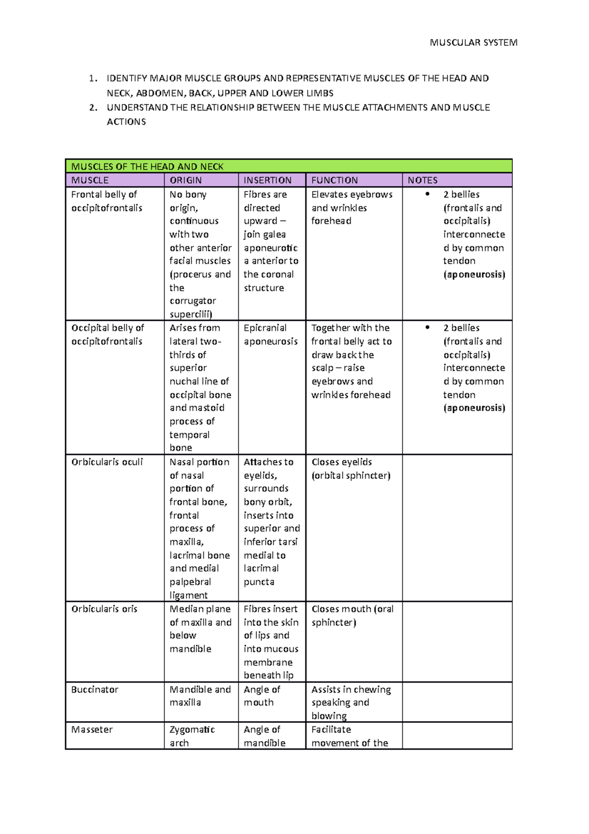 Muscles - Origin and Insertion - 1. IDENTIFY MAJOR MUSCLE GROUPS AND ...