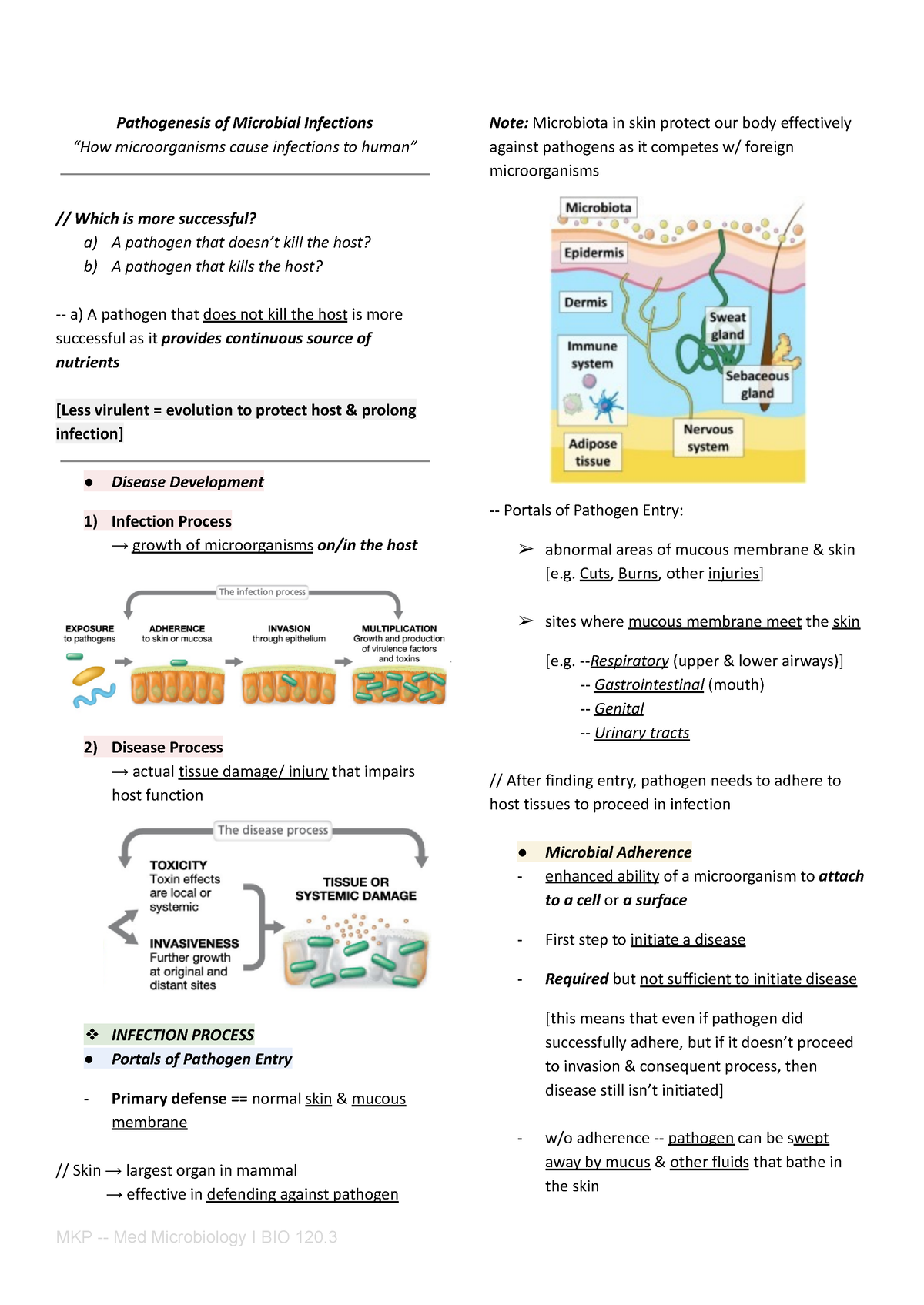 Pathogenesis Of Microbial Infections - Pathogenesis Of Microbial Infections