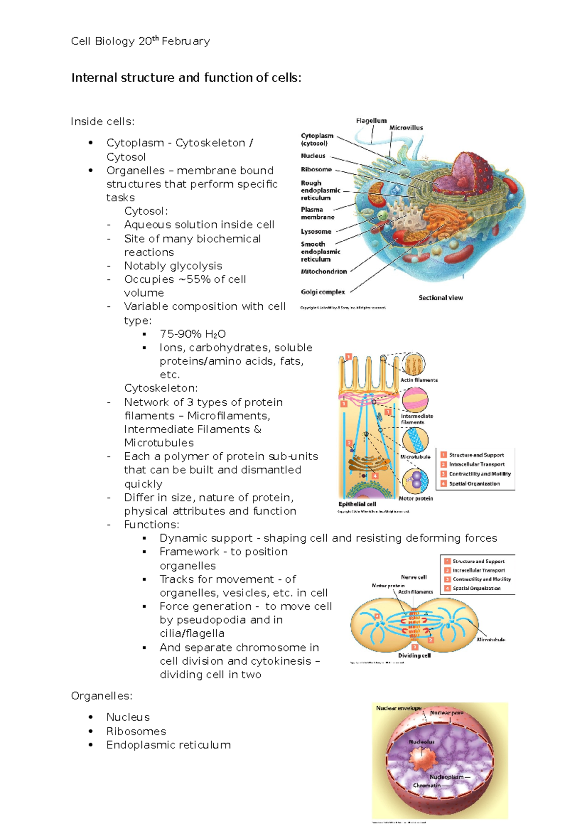 Lecture 6 20.02.2020 Internal Strucutre and Function - Internal ...