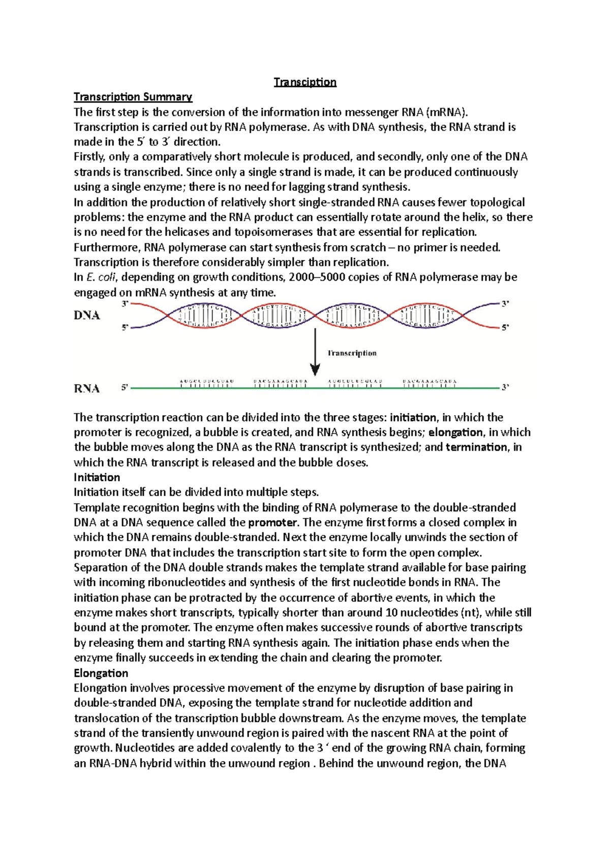 Transciption - Lecture notes 33 - MED-MB-S - QUB - Studocu