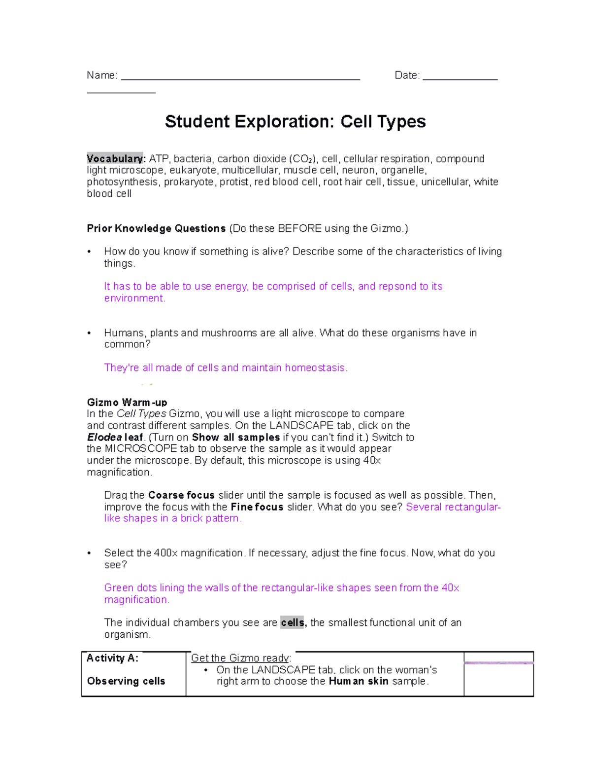 Cell Types Se Summer Ap Bio Bp 723 Molecular Biology Harvard Studocu