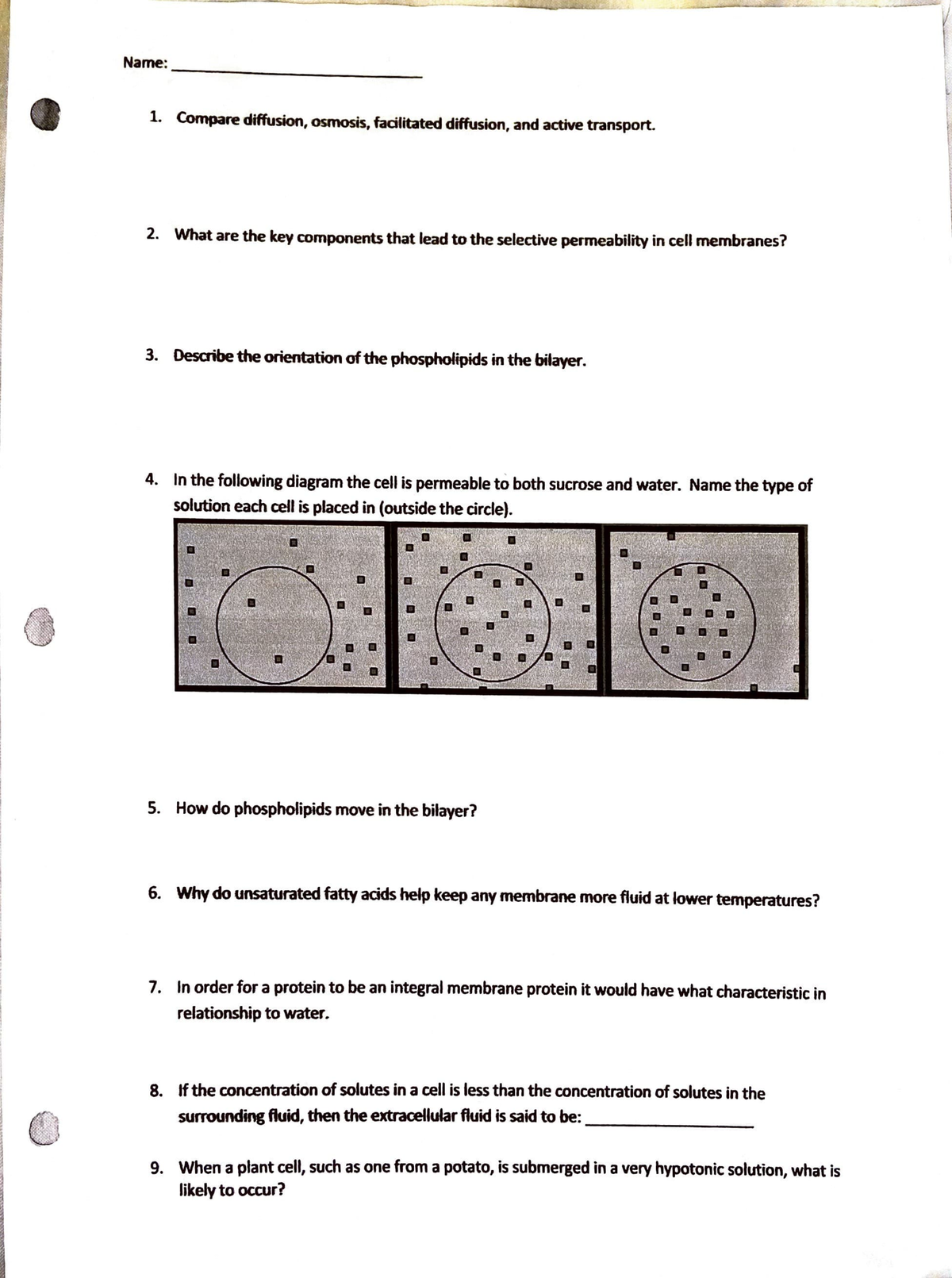 lab assignment 4 diffusion and osmosis