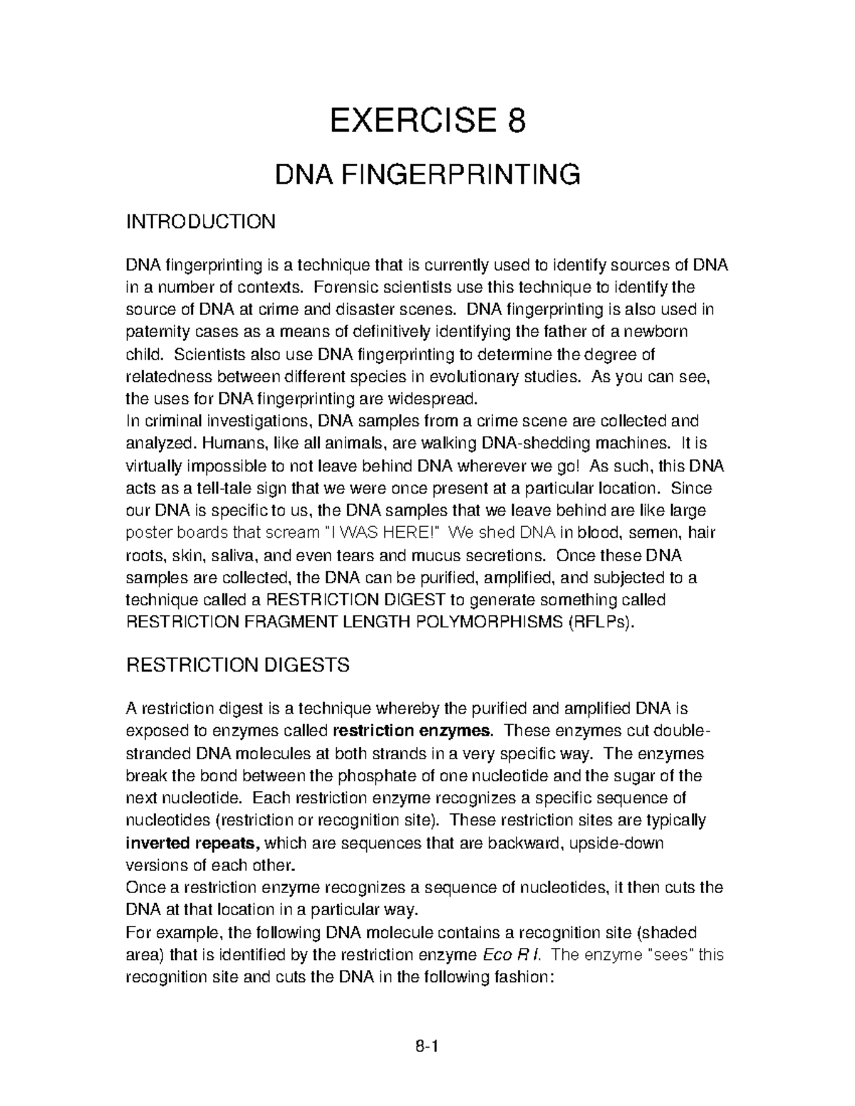 LM EX8 DNA Fingerprinting-1 (1) - EXERCISE 8 DNA FINGERPRINTING ...