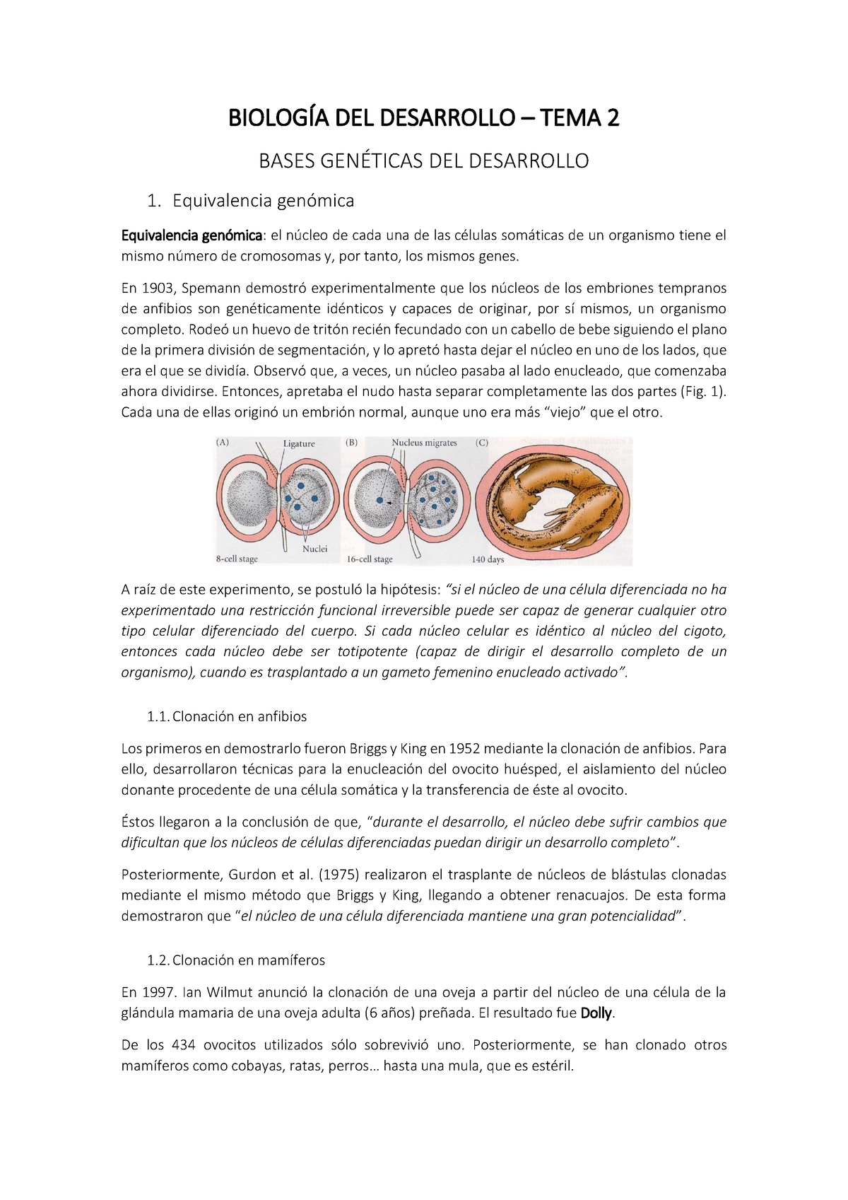 BD - TEMA 2 - BIOLOGÍA DEL DESARROLLO – TEMA 2 BASES GENÉTICAS DEL ...