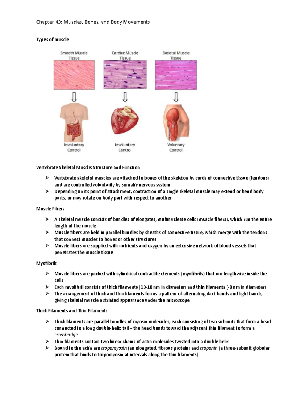 Chapter 43 BIOL 2 - Chapter 43: Muscles, Bones, And Body Movements ...