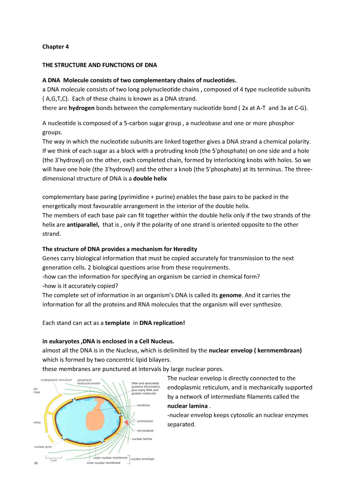 cell biology assignment example