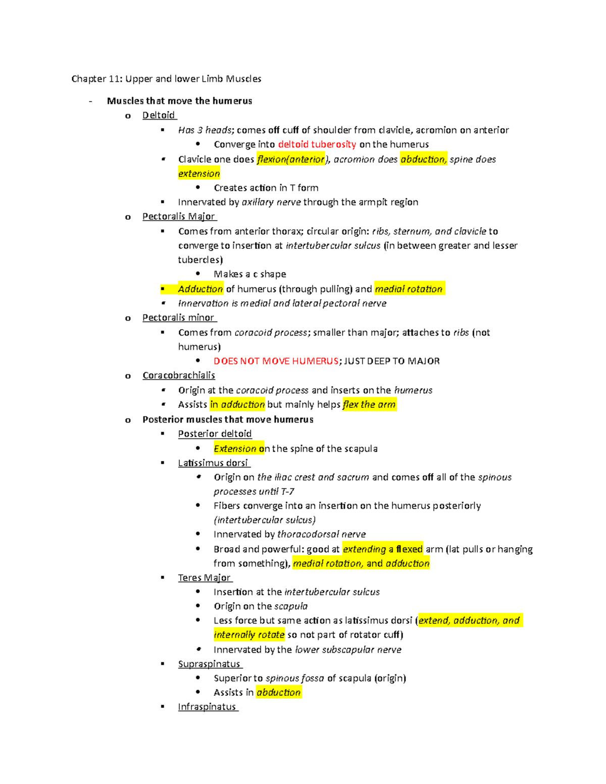 Chapter 11 Upper Limb Muscles - Chapter 11: Upper And Lower Limb ...