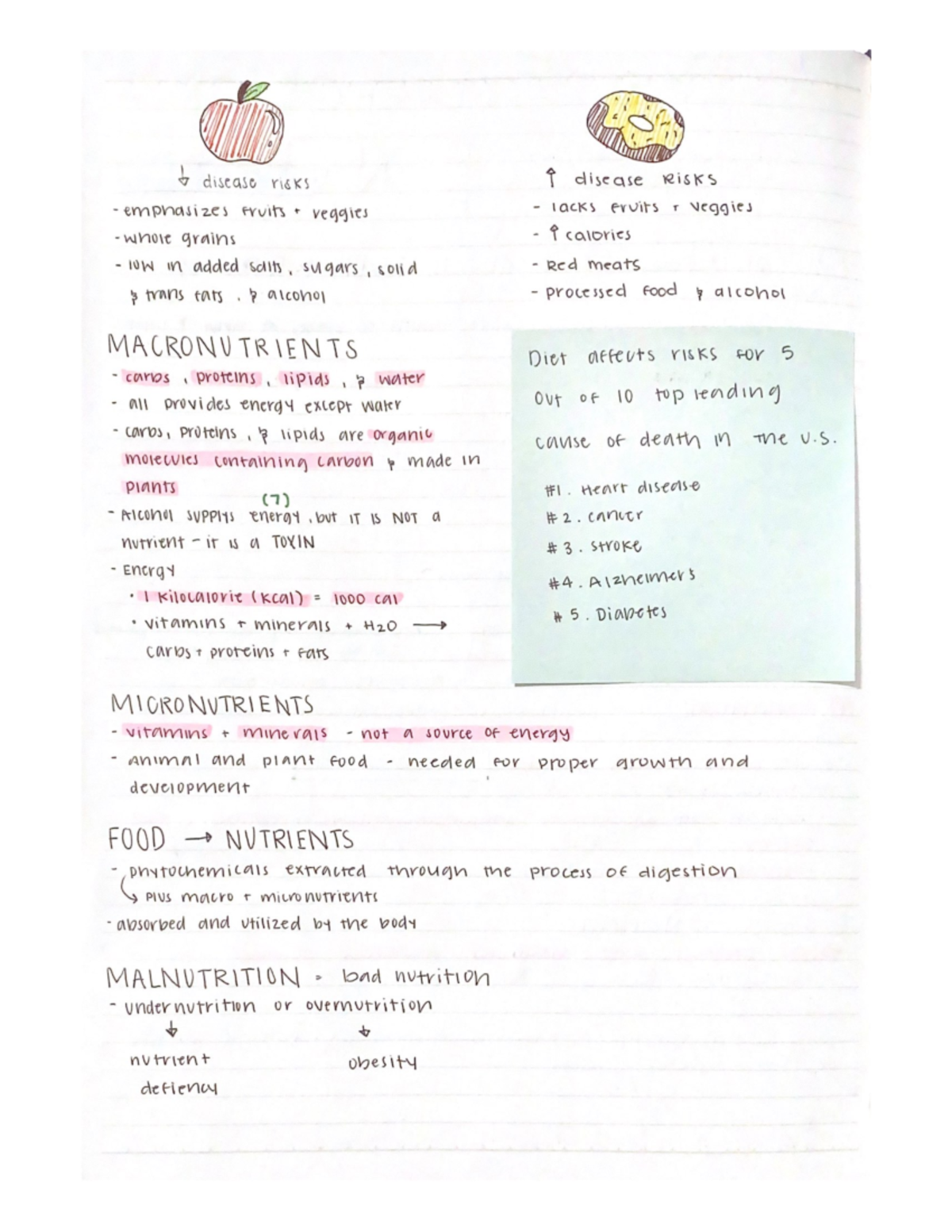 Nutrition 1322 Pg. 2 - BIOL 1322 - Studocu