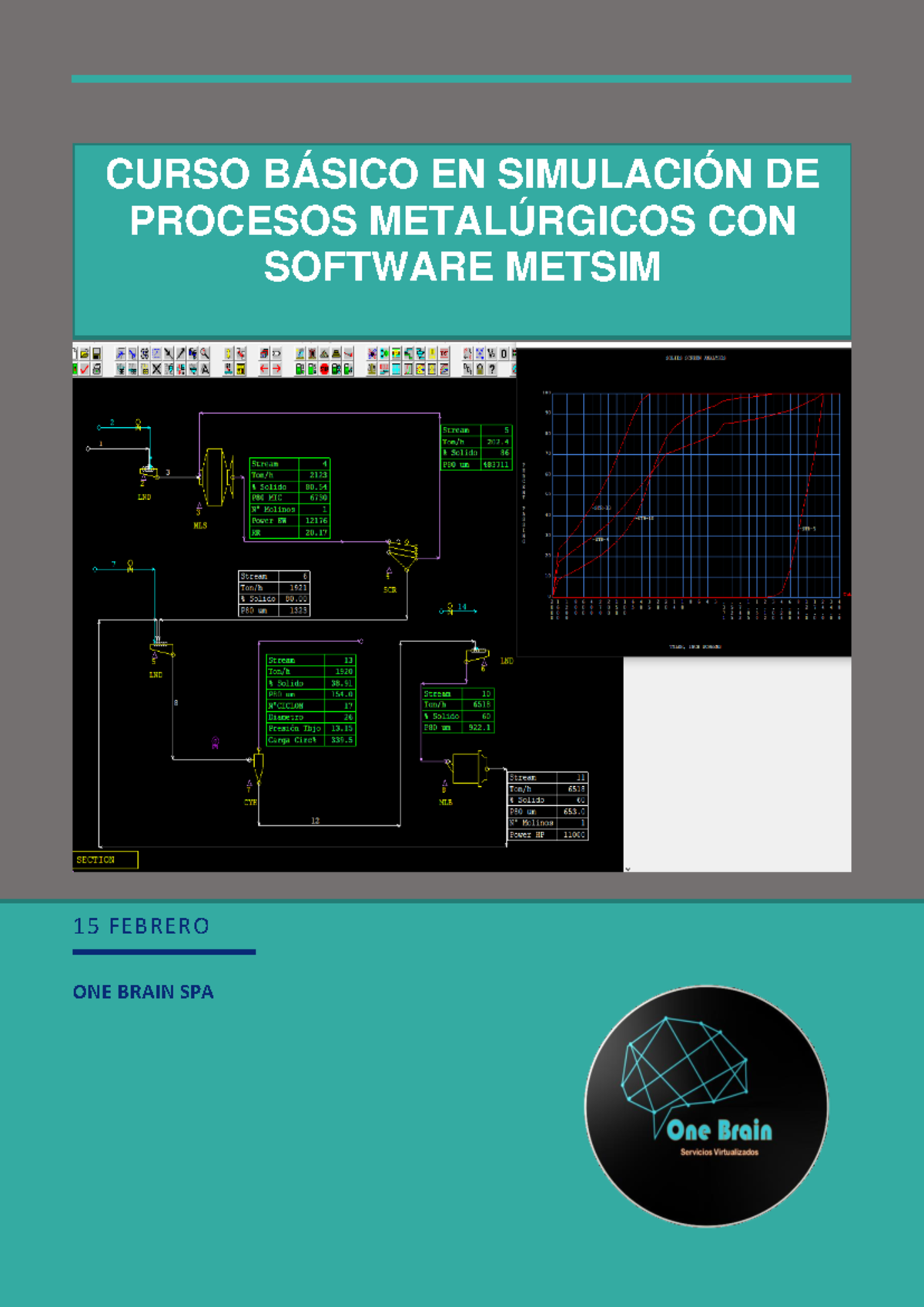 510456105 Curso Basico Metsim 2021 OBN 1 - 15 FEBRERO ONE BRAIN SPA ...
