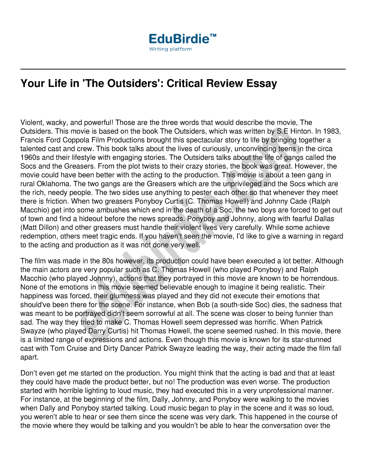 your-life-in-the-outsiders-critical-review-essay-your-life-in-the