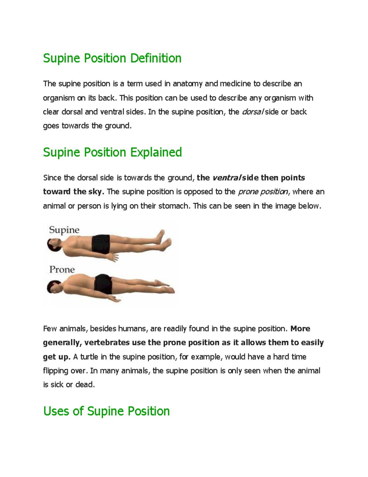 Supine Position: What Is It, Uses, and More