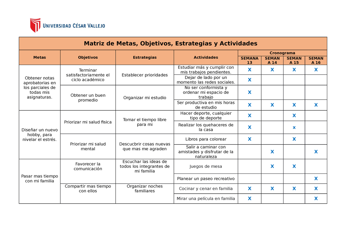 1° Producto N° 12 Matriz De Metas Objetivos Estrategias Y Actividades Metas Objetivos 4773