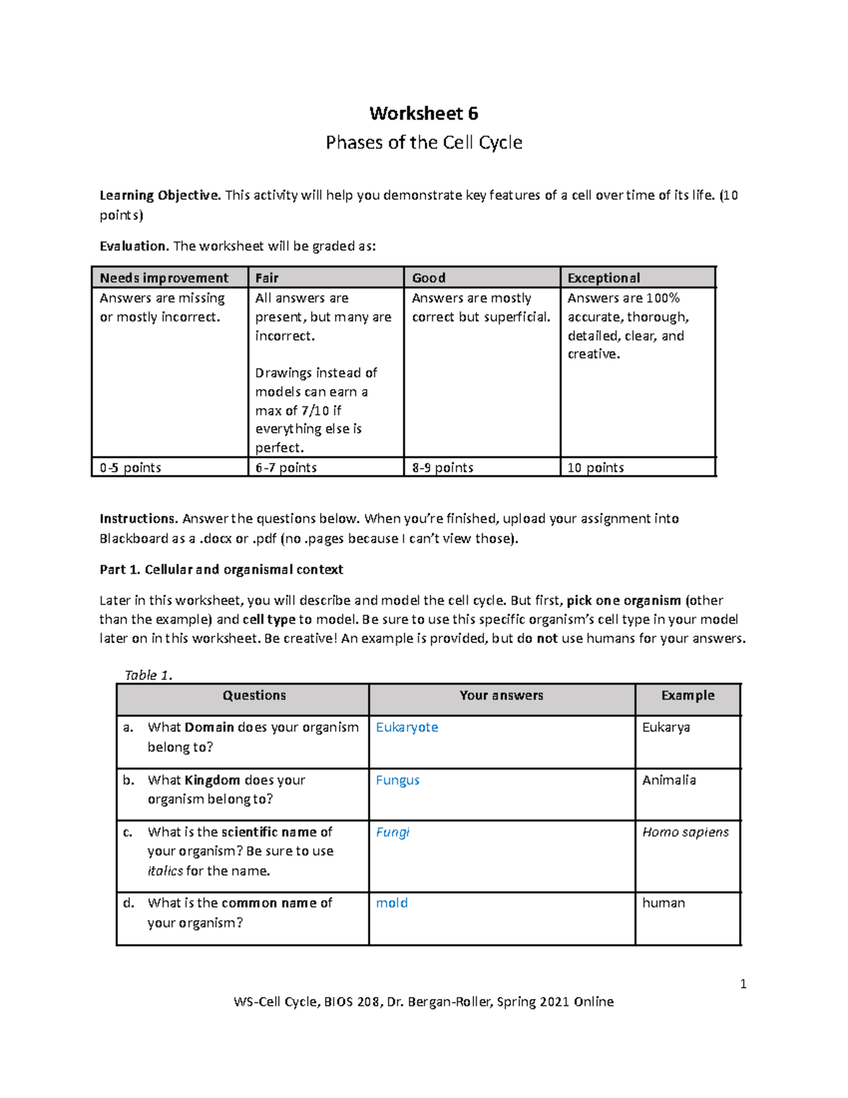 Worksheet 6 Cell Cycle Worksheet 6 Phases Of The Cell Cycle Learning 