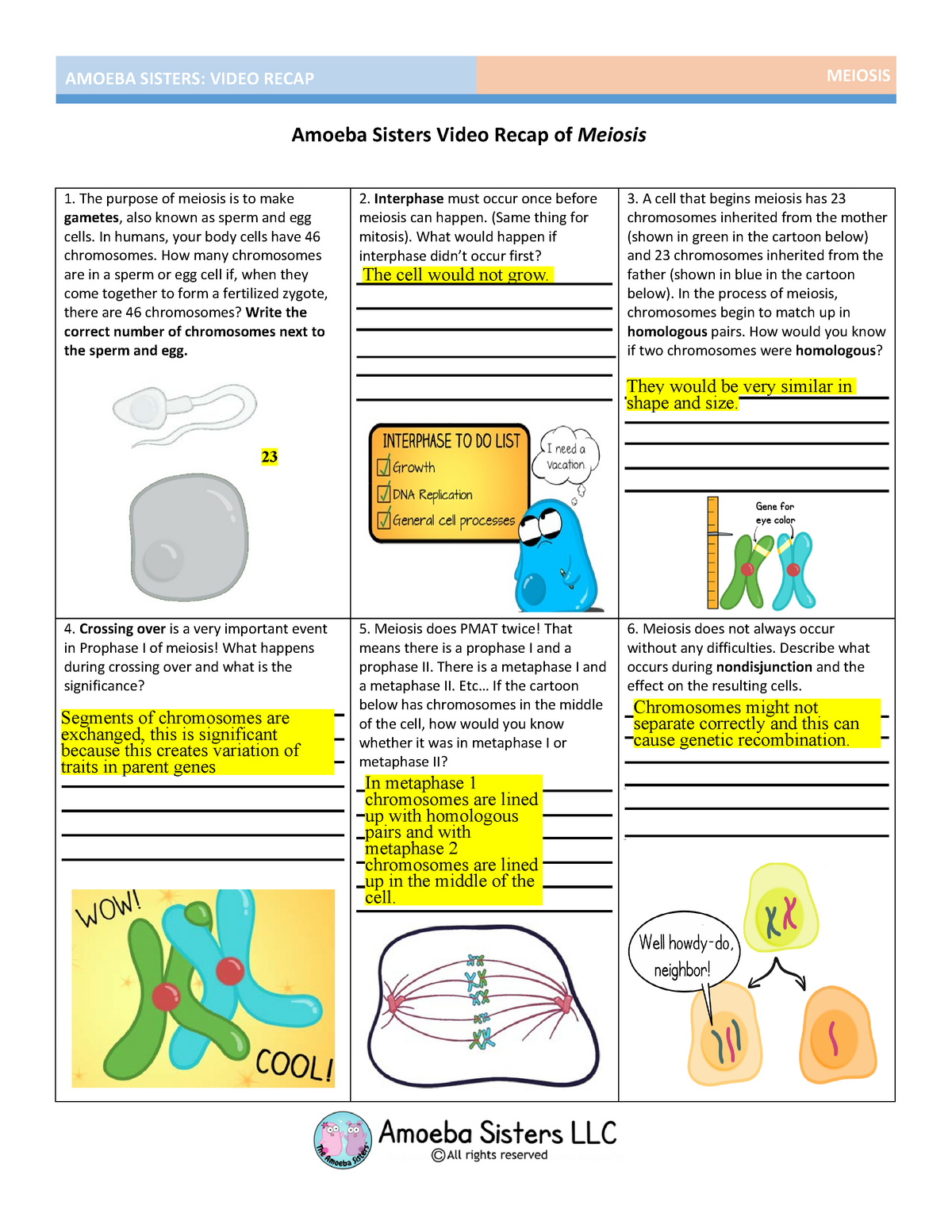 Pmat Meiosis : Mitosis Cell Cycle Storyboard By 8a406e66 Meiosis