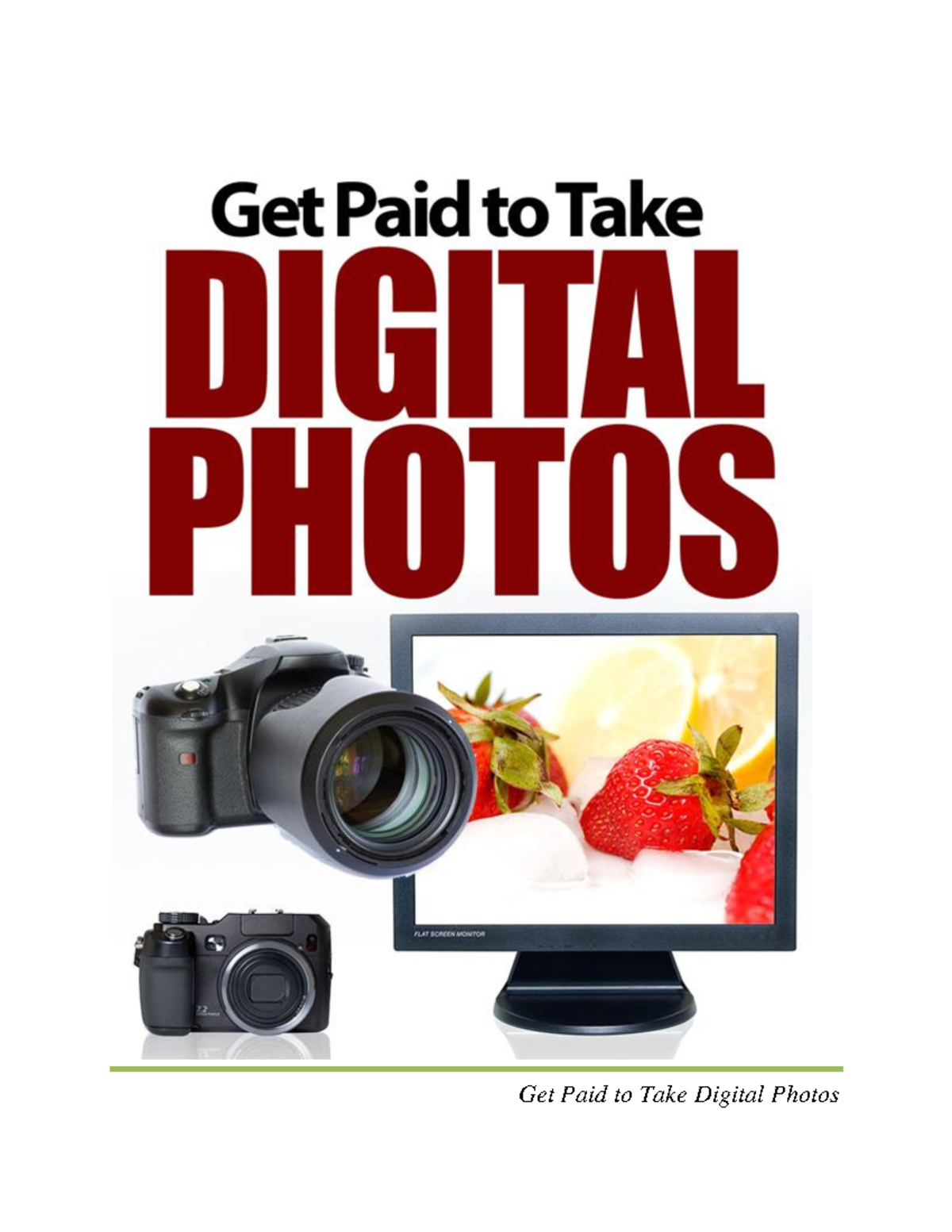 Get Paid to Take Digital Photos Contents Introduction Do You Have What it Takes? Choosing a