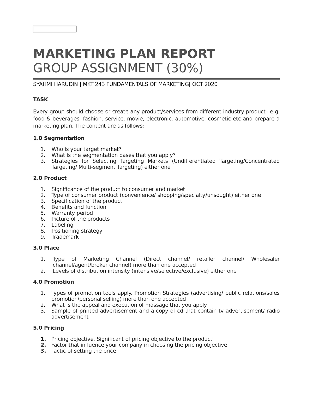 marketing plan report assignment