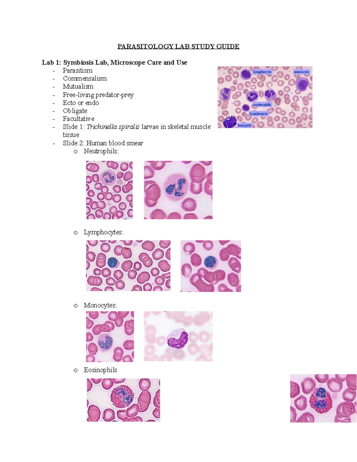 Parasitology Lab Study Guide - Parasitology Lab Study Guide Lab 1 