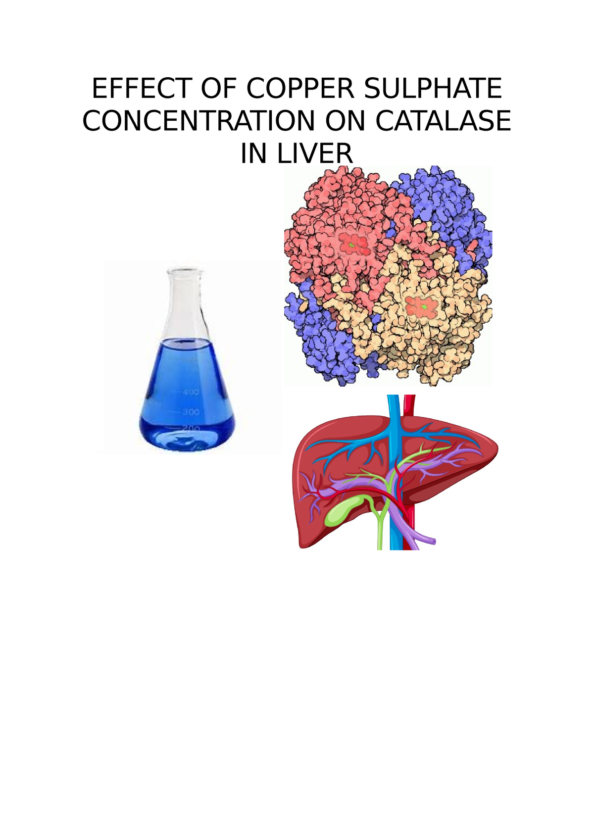 catalase copper sulfate experiment